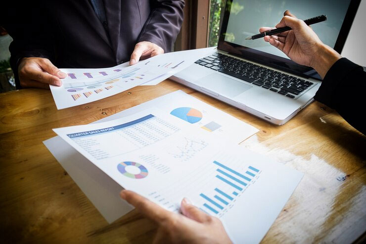 Advanced Data Reporting Dashboard for Delhi NCR Businesses