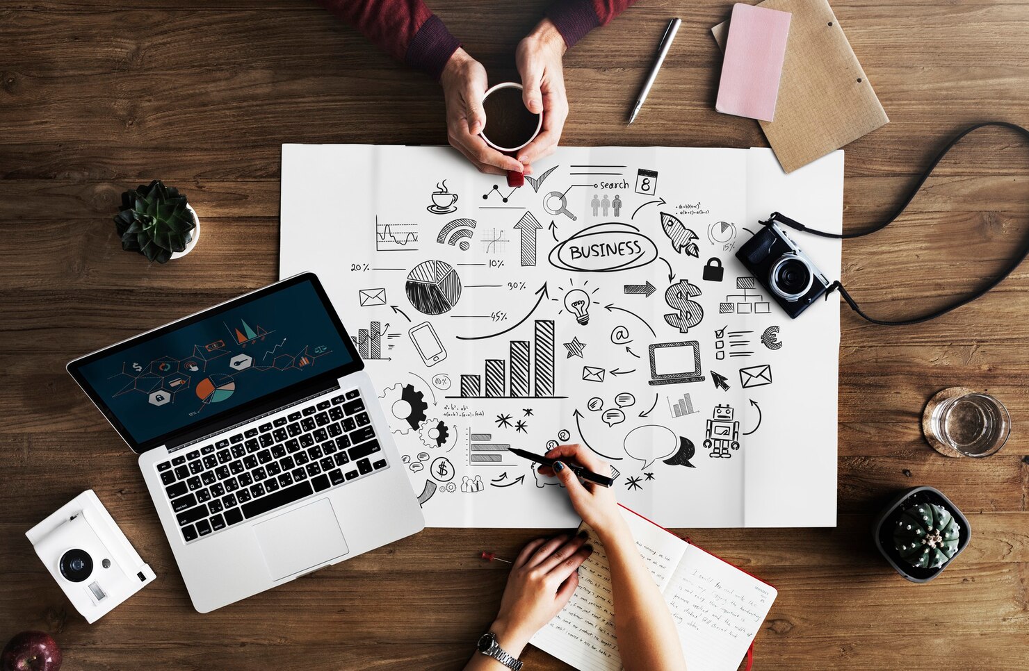 Digital Marketing Agency in Delhi NCR - Hawks Infotech