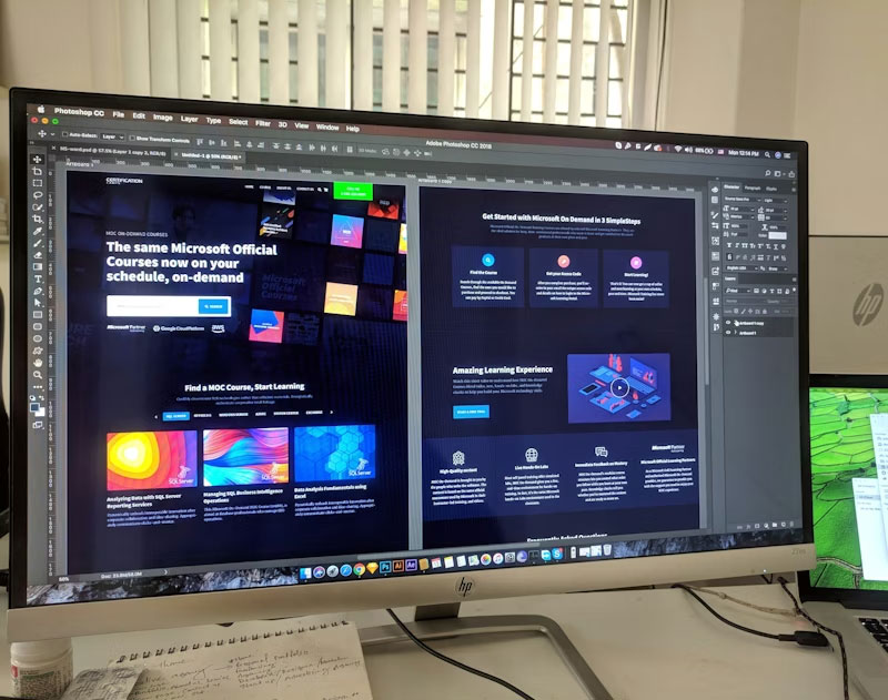 Custom WordPress Development Services in Delhi NCR